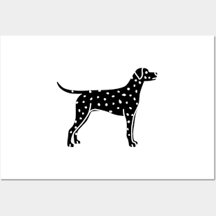 Dalmation Posters and Art